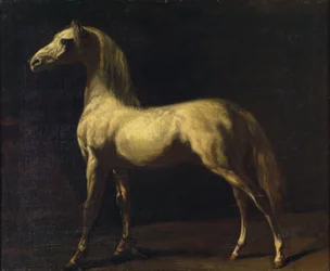 Ein stehendes Pferd